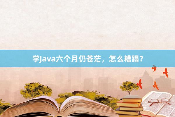 学Java六个月仍苍茫，怎么糟蹋？
