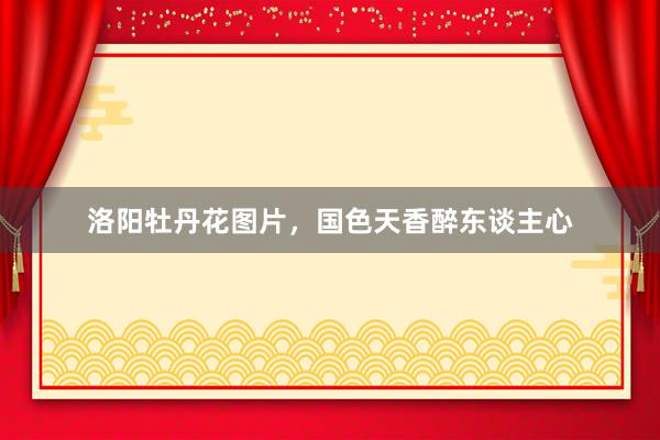 洛阳牡丹花图片，国色天香醉东谈主心