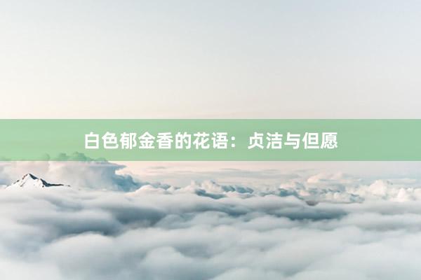 白色郁金香的花语：贞洁与但愿