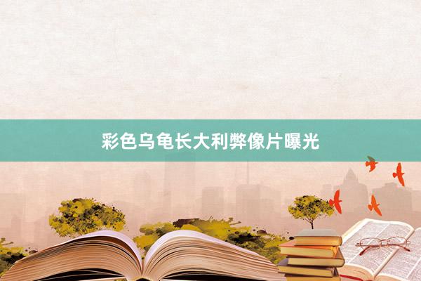 彩色乌龟长大利弊像片曝光